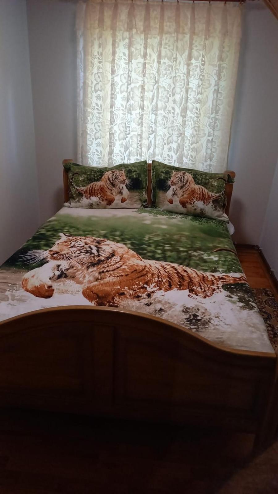 Casa De Vacanta Geoagiu Băi 外观 照片