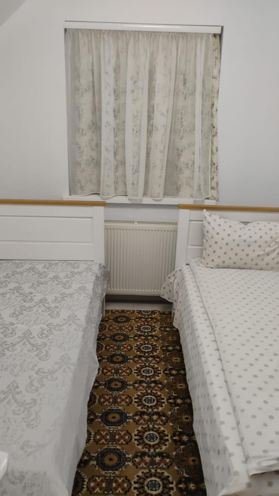 Casa De Vacanta Geoagiu Băi 外观 照片